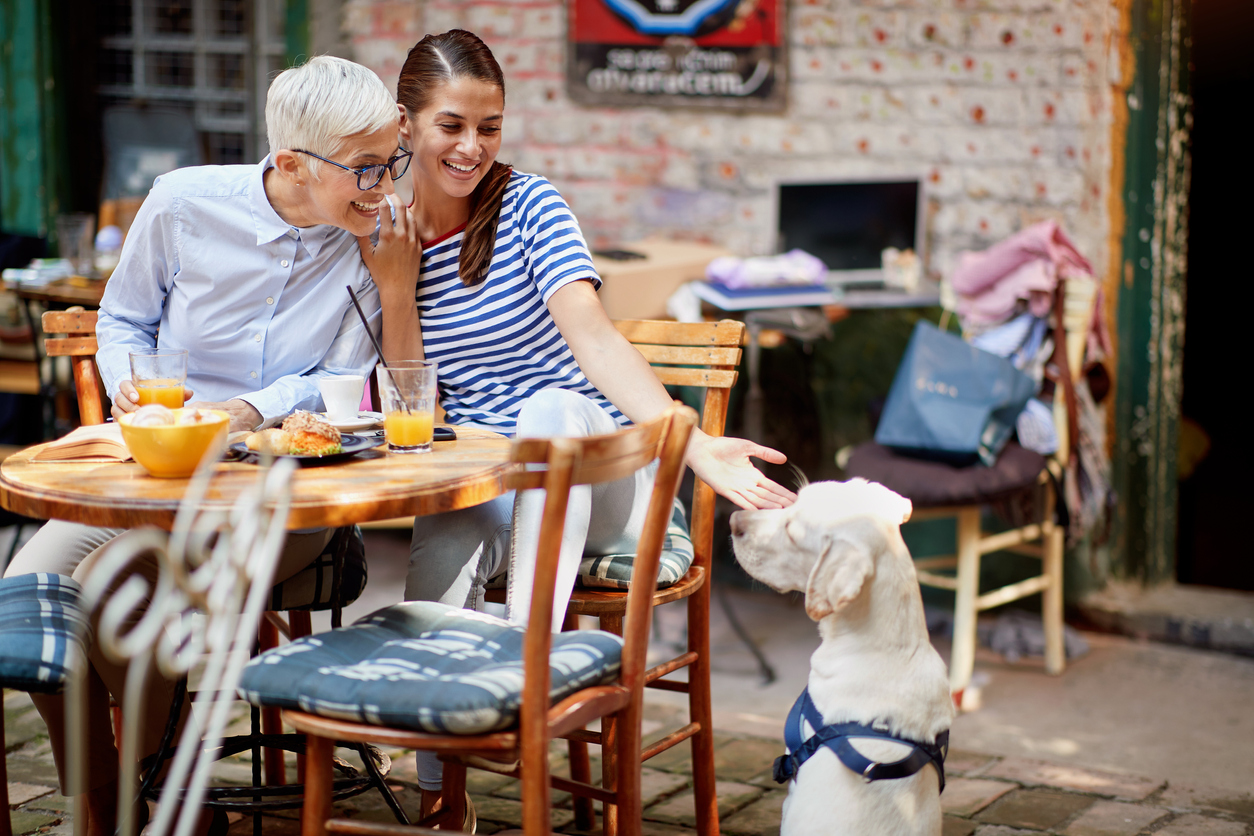 Two happy female friends of different generations playing with a dog while they have a drink in a pleasant atmosphere in the bar. Leisure, bar, friendship, outdoor