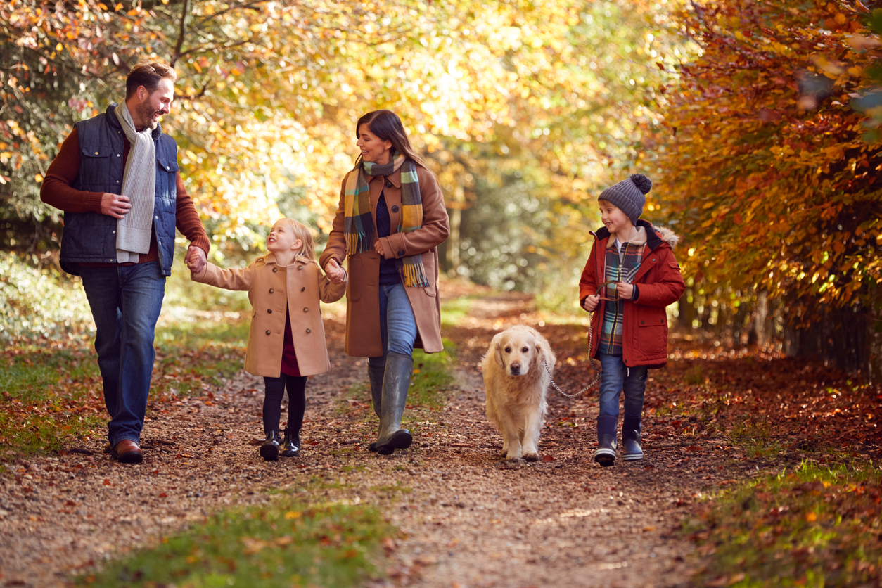 Dog Friendly in StratforduponAvon Short Let Space